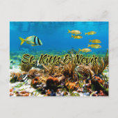 St. Kitts & Nevis Korallenriff Postkarte (Vorderseite)