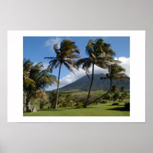 St. Kitts Plantation Poster