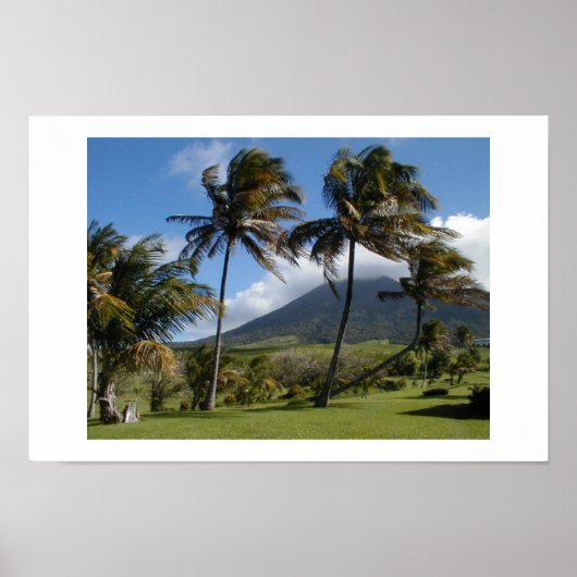 St. Kitts Plantation Poster (Vorne)