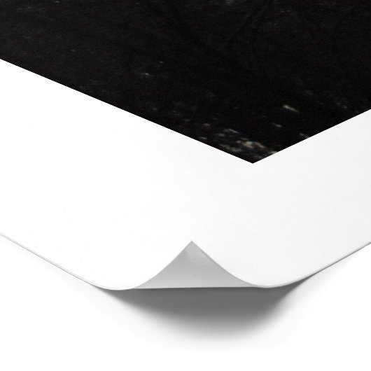 St. Louis Gateway Arch Poster (Ecke)