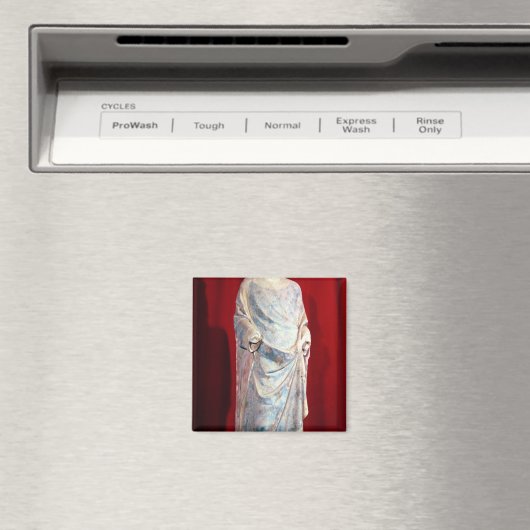 St. Louis Magnet (In Situ (Geschirrspüler))