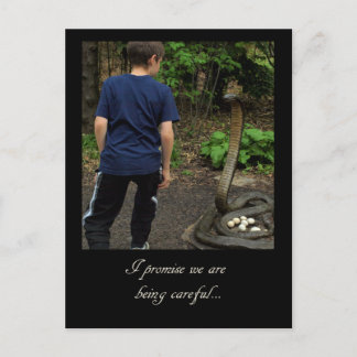 St. Louis Zoo 2009 Postkarte