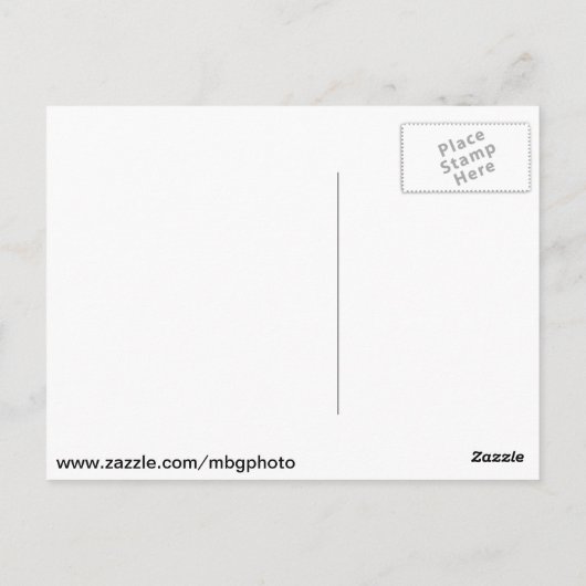 St. Louis Zoo Postkarte (Rückseite)