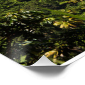 St Lucia Pitons Poster (Ecke)