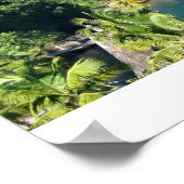 St. Lucia Poster (Ecke)