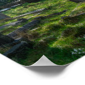 St Luke’s Church and Graveyard, Norland Poster (Ecke)