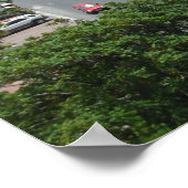 St. Maarten - Marigot Bay Poster Print (Ecke)