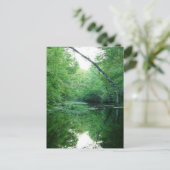 St. Marks River Postkarte (Stehend Vorderseite)