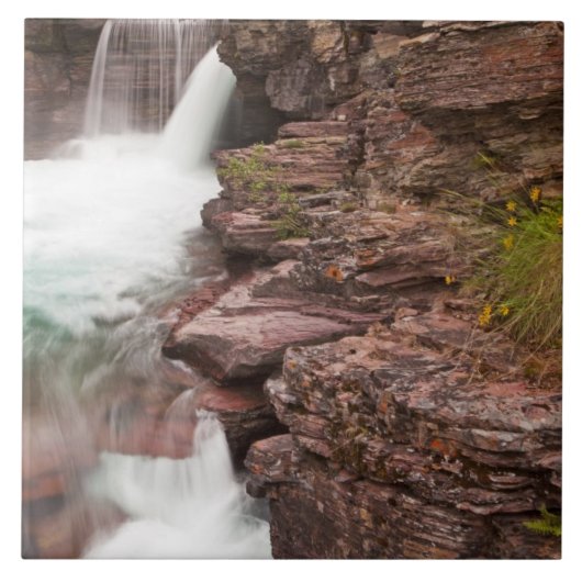 St Mary Falls in Glacier National Park Fliese (Vorderseite)