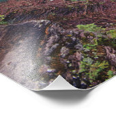 St Mary Falls in Glacier National Park Fotodruck (Ecke)