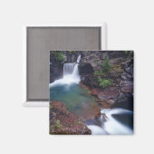 St Mary Falls in Glacier National Park Magnet (Vorderseite/Rückseite)