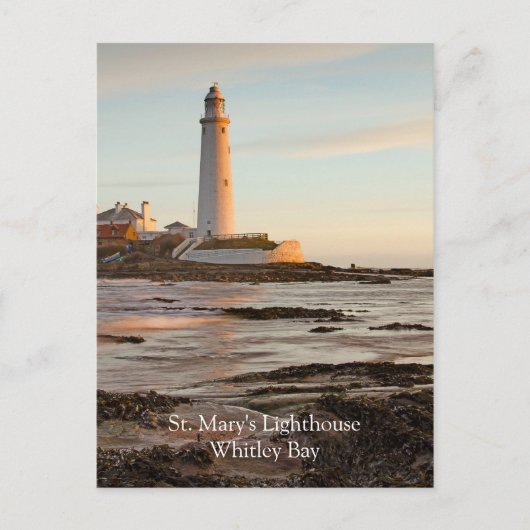 St Mary's Lighthouse England Postkarte (Vorderseite)