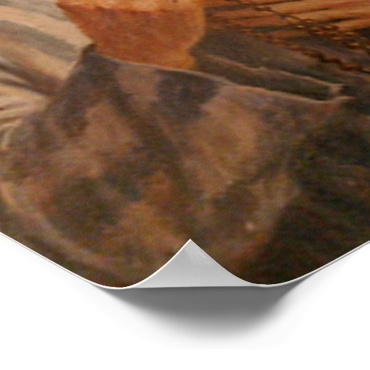 St Maximilian Kolbe Poster (Ecke)