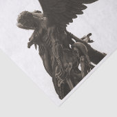 St. Michael Tissue Seidenpapier (Ausschnitt)