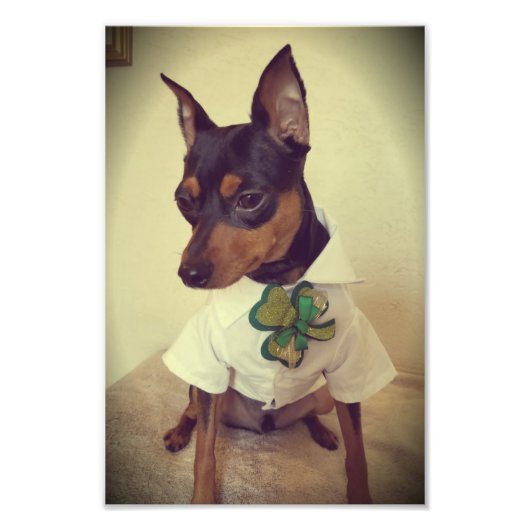 St. Min Button Fotodruck (Vorne)