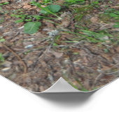 St. Pardoux Fontaine Poster (Ecke)