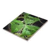 St Patrick benutzte ein Kleeblatt Fliese (Seite)