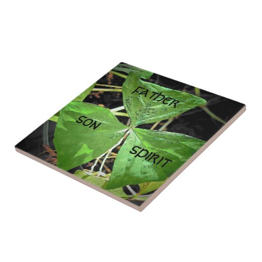 St Patrick benutzte ein Kleeblatt Fliese (Seite)