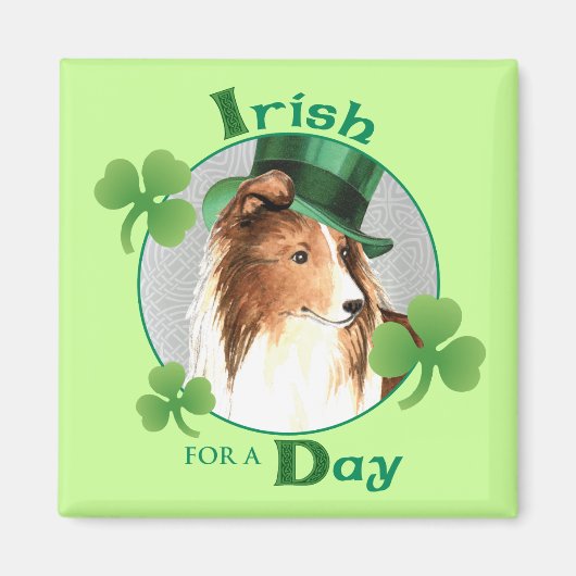 St. Patrick-Day Sheltie Magnet (Vorne)