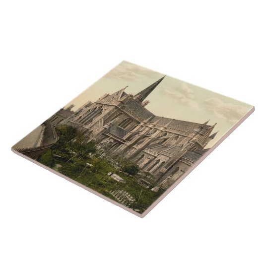 St Patrick Kathedrale Dublin Irland Fliese (Seite)