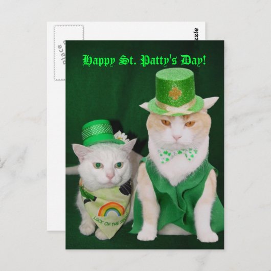 St. Patrick Kätzchen Postkarte (Vorne/Hinten)