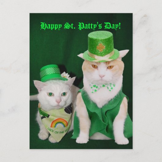 St. Patrick Kätzchen Postkarte (Vorderseite)