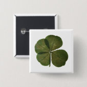 St Patrick Real 4 Leaf Clover Lucky Button (Vorne & Hinten)