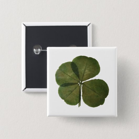 St Patrick Real 4 Leaf Clover Lucky Button (Vorne & Hinten)