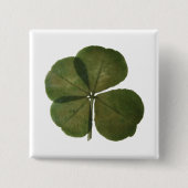 St Patrick Real 4 Leaf Clover Lucky Button (Vorderseite)