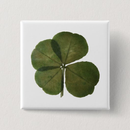 St Patrick Real 4 Leaf Clover Lucky Button (Vorderseite)