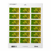 St. Patrick’s Day Shamrock personalisiert Adressaufkleber (Vorne)