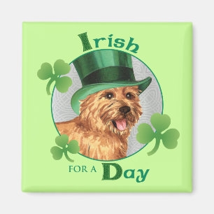 St Patrick Tag Norwich Terrier Magnet