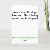 St Patrick Tageskätzchenkarte Karte (Rückseite)