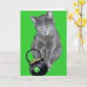 St Patrick Tageskätzchenkarte Karte (Gelbe Blume)