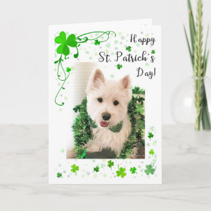 St Patrick TagWestie gute Gesundheit und Glück Karte