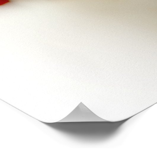 St. Patrick The Apostle of Ireland Poster (Ecke)