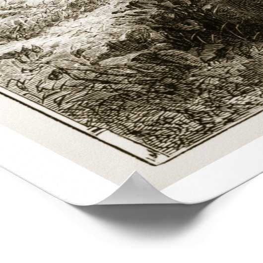 St. Patrick traf sich mit Jungfrauen im Wald von F Poster (Ecke)