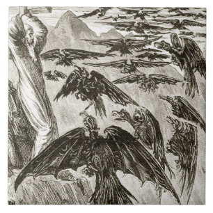 St Patrick und die Dämonvögel, 'von der Trias T Fliese