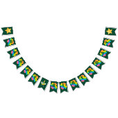 St. Patrick's Birthday Rainbow Clover Green Irish Wimpelkette (Alle)