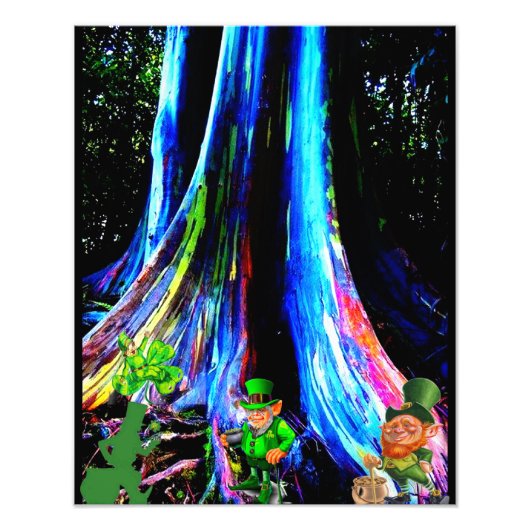 ST. PATRICK'S DALEPRECHAUNS FOTODRUCK (Vorne)