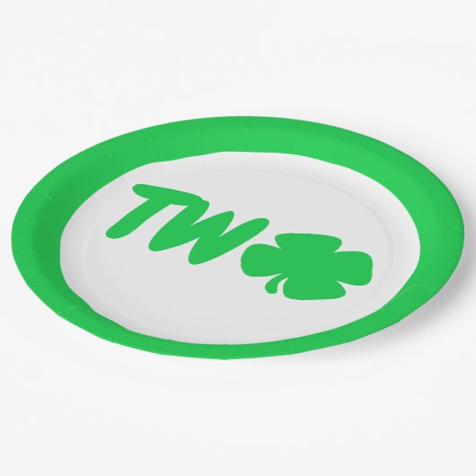 St Patrick's Day 2. Geburtstag Pappteller (Schrägansicht)