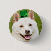 St Patrick's Day Anyone Shiba Inu Dog Button (Vorderseite)