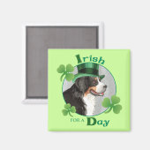 St. Patrick's Day Berner Magnet (Vorderseite/Rückseite)