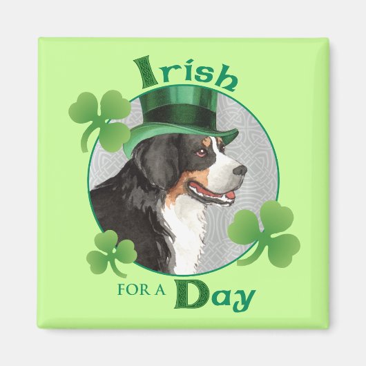 St. Patrick's Day Berner Magnet (Vorne)