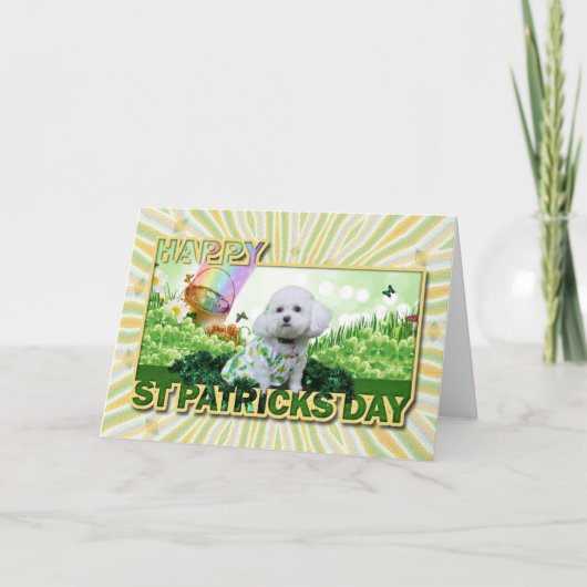St Patrick's Day - Bichon Frise - Mia Karte (Vorderseite)