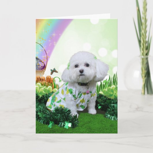 St Patrick's Day - Bichon Frise - Mia Karte (Vorderseite)