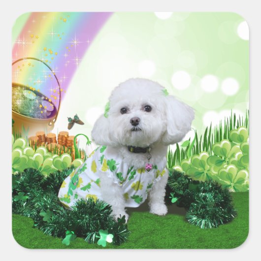 St Patrick's Day - Bichon Frise - Mia Quadratischer Aufkleber (Vorderseite)