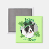 St. Patrick's Day Border Collie Magnet (Vorderseite/Rückseite)