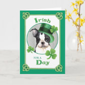 St. Patrick's Day Boston Terrier Karte (Gelbe Blume)