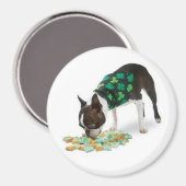 St. Patrick's Day Boston Terrier Magnet (Vorderseite/Rückseite)